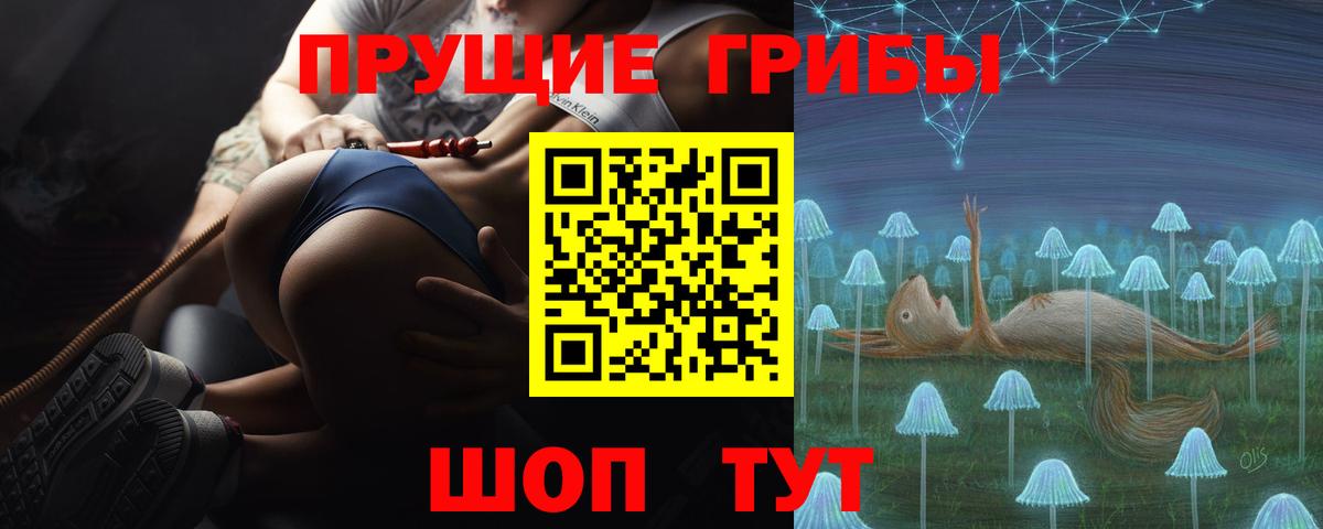 сколько стоит  Вход с VPN  Каменка  Галлюциногенные грибы прущие грибы  Псилоцибиновые грибы Psilocybe 